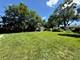 19 W 36th, Steger, IL 60475