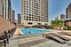 1030 N State Unit 16K, Chicago, IL 60610