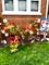 6433 S Talman, Chicago, IL 60629