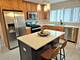 8517 W Carmen, Chicago, IL 60656