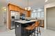8517 W Carmen, Chicago, IL 60656