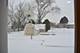1203 Timber, Elk Grove Village, IL 60007