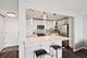 2800 N Lake Shore Unit 3603, Chicago, IL 60657