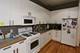 1509 W Fry Unit 1F, Chicago, IL 60642