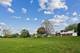 3020 Spring Green, Darien, IL 60561
