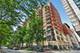 1250 S Indiana Unit 502, Chicago, IL 60605