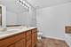 1250 S Indiana Unit 502, Chicago, IL 60605