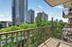 1250 S Indiana Unit 502, Chicago, IL 60605