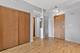1250 S Indiana Unit 502, Chicago, IL 60605