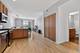 1250 S Indiana Unit 502, Chicago, IL 60605