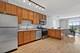 1250 S Indiana Unit 502, Chicago, IL 60605