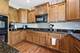 3328 Chase, Elgin, IL 60124