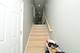 1051 N Springfield, Chicago, IL 60651