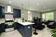 1051 N Springfield, Chicago, IL 60651