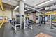 360 W Illinois Unit 308, Chicago, IL 60654