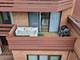 702 N Waukegan Unit 206A, Glenview, IL 60025