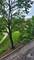 1450 Plymouth Unit 305, Elgin, IL 60123