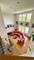 3081 Handley, Lisle, IL 60532
