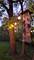 1530 Central, Deerfield, IL 60015