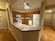 390 S Western Unit 402, Des Plaines, IL 60016