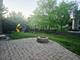 26513 Silverleaf, Plainfield, IL 60585