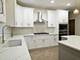 26513 Silverleaf, Plainfield, IL 60585