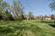 462 S Warren, Palatine, IL 60074