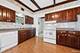 4872 N Redwood, Norridge, IL 60706