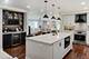 926 Holliston, Schaumburg, IL 60193