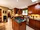 1016 Belleforte, Oak Park, IL 60302