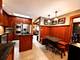 1016 Belleforte, Oak Park, IL 60302