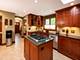 1016 Belleforte, Oak Park, IL 60302