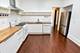 1305 S Spaulding Unit 2, Chicago, IL 60623