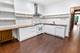 1305 S Spaulding Unit 2, Chicago, IL 60623