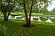 24021 W Pear Tree Unit 0, Plainfield, IL 60585