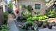 3843 W Addison, Chicago, IL 60618