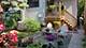 3843 W Addison, Chicago, IL 60618