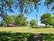 807 Kansas, Carol Stream, IL 60188