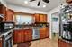 7555 N Neva, Niles, IL 60714