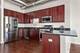 1151 W 14th Unit 332, Chicago, IL 60608