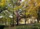 9215 S 83rd, Hickory Hills, IL 60457