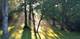 9215 S 83rd, Hickory Hills, IL 60457