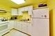 253 E Delaware Unit 12E, Chicago, IL 60611