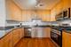 1935 S Archer Unit 514, Chicago, IL 60616
