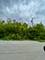 22839 Woodlawn, Steger, IL 60475