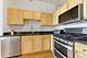 700 N Larrabee Unit 1013, Chicago, IL 60654
