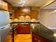 3930 N Pine Grove Unit 514, Chicago, IL 60613