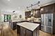2820 N Greenview Unit G, Chicago, IL 60657