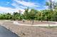 2041 Sequoia, Mundelein, IL 60060