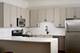 952 N Crosby, Chicago, IL 60610